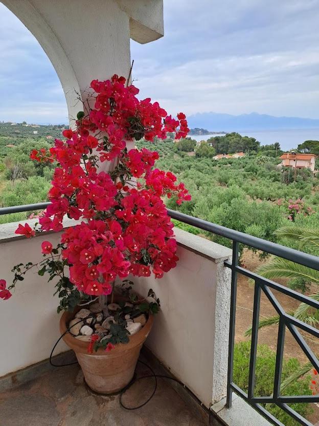 Villa Mariana Корони Экстерьер фото